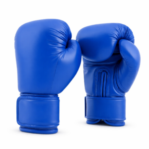 Fighting Gloves